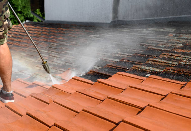 Best Exterior Home Cleaning  in St Michael, MN