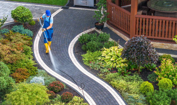 Best Pressure Washing Services Near Me  in St Michael, MN